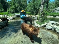 -北京野生动物园