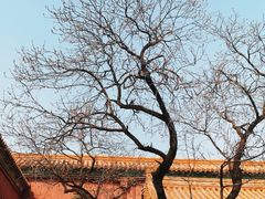 -故宫博物院(故宫)