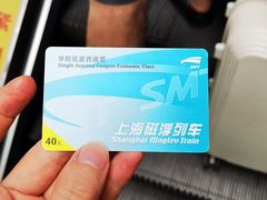 -龙阳路磁悬浮列车总站-停车场