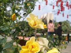 -人民公园(罗湖区)