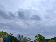 -牛岗山公园