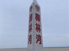 -东郊椰林