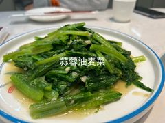 -枫林饺子