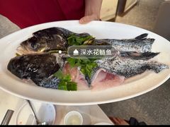 -蜀滋香鲜鱼美蛙火锅(339店)