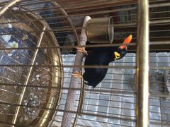 那家小馆(中关村店)-那家小馆•北京菜•烤鸭(中关村店)