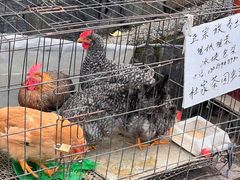 -乌石村