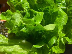 -牛坂亭 . 和牛烤肉海鲜酒场(工农路店)