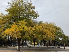 -麗枫酒店(西安大明宫龙首原地铁站店)