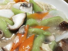 -素虎小呆鸟(西二旗店)