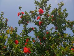 -四里河滨水生态公园