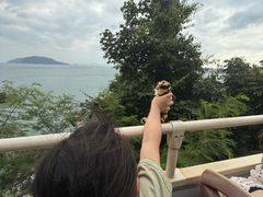 -Big Bus Tours 敞篷观光巴士