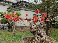 -中山詹园