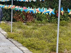 -游子山休闲旅游区