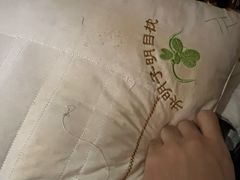 -深圳圣淘沙酒店(翡翠店)