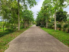 -广东花都香草世界旅游度假区