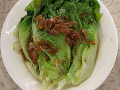 -百利鸽王(紫薇路店)