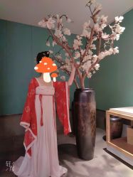 -盘子女人坊古装写真摄影(苏州旗舰店)