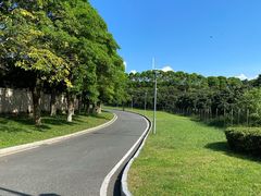 -东莞植物园