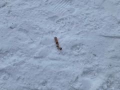 -长白山万达国际滑雪场