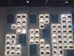 -广东中医药博物馆