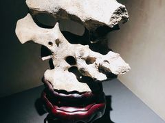 -觀芷隐轩