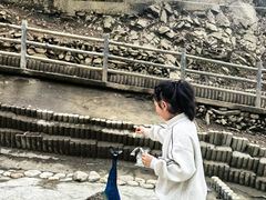 -栾川竹海野生动物园