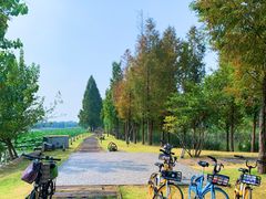 -东湖听涛景区