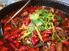 -雀蓝川菜(奥体广场店)