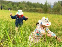-满天星幼儿园(北京太阳宫园)