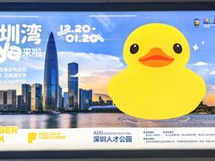 -深圳人才公园