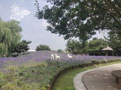 -羊亭河湿地公园