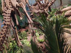 -自贡恐龙博物馆