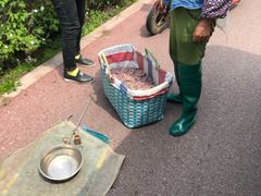 -北海金海湾红树林生态旅游区