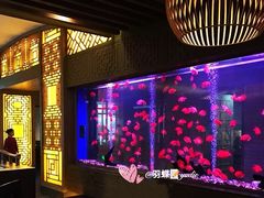 -海口绿发希尔顿酒店-田园汇自助餐·三文鱼·海鲜