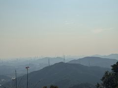 -黄埔油麻山森林公园