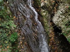 -华冠悠岚·庭院餐厅(青城后山店)