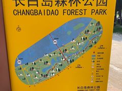 -长白岛森林公园