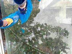 -帽儿山风景区