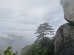 -黄山白云宾馆