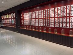-青岛贝壳博物馆