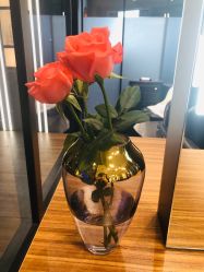 -SEBASTIAN塞巴斯汀