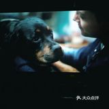 因为家里养宠物的原因，所以特别喜爱小动物