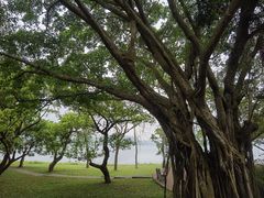 -湖光岩风景区