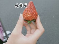 -梅城古镇
