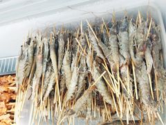 -北京上庄水库尚野露天户外自助烧烤