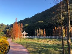 -广州市石门国家森林公园