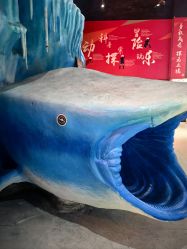 -探洞工场(重庆爱琴海旗舰店)