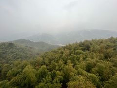 -宁波浙东大竹海景区