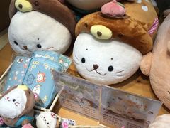 -台场海滨公园船码头
