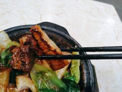 啫啫牛腩珍珠粉-珍珍小食店(西华路店)